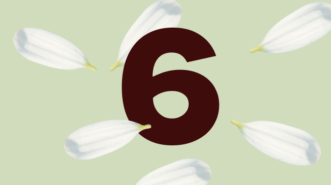 Сертифікат на 6 місяців навчання