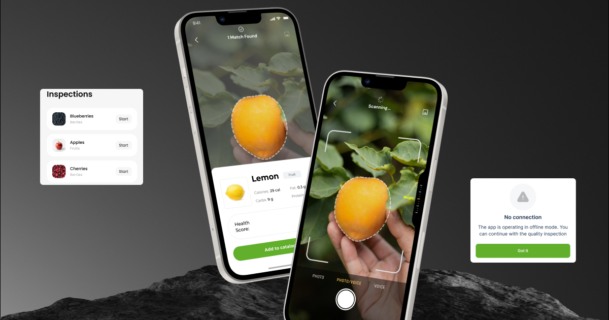 How SapientPro Accelerated the Inspection Process by 87.5%
