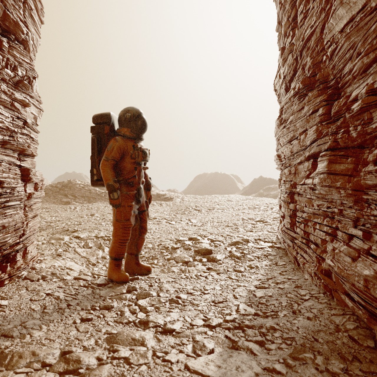 The Martian