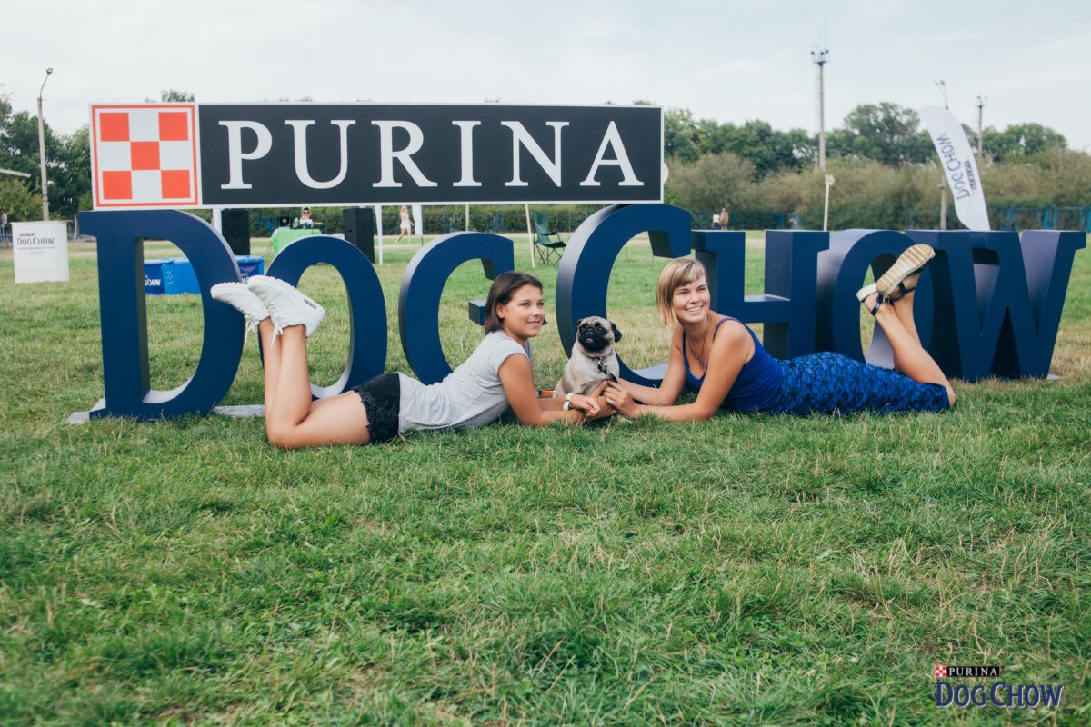 Интеграция Purina Dog Chow® (Дог Чау) на Чемпионате по Dog Puller Ukraine 