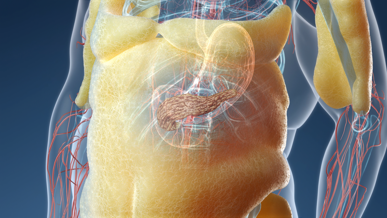 3D MoA Animation: Semaglutide & Appetite Regulation