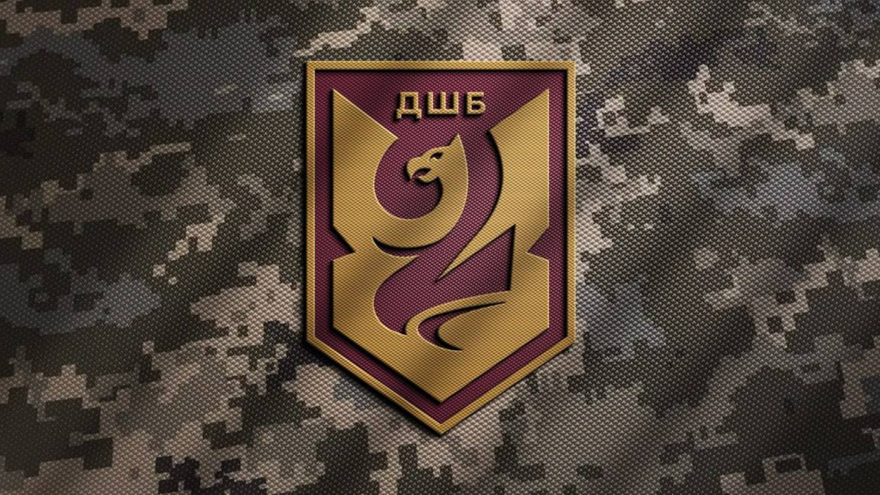 Дизайн за 24 години: розробка логотипа для 95 бригади ЗСУ