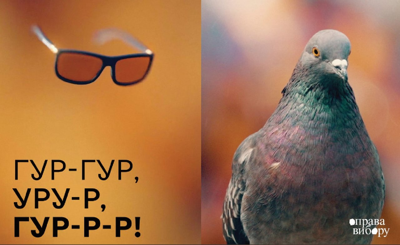 Дослідили пташине бачення. Нова креативна кампанія для окулярів, людей і птахів від Bickerstaff.499.