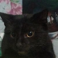 Настя Жукова