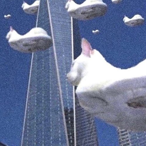 катя катя 