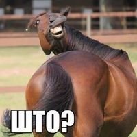 Сергей Скоробагатько