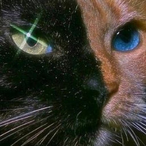 Марина 