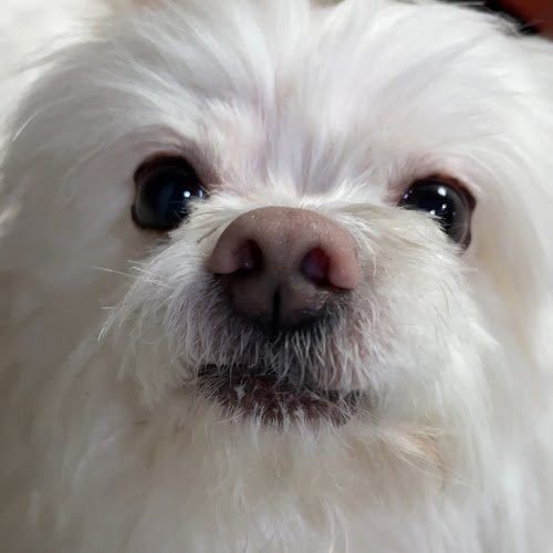 유진 조